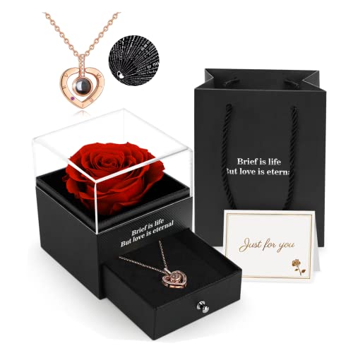 ADAZ Ewige echte Rose mit I Love You Halskette, Konservierte Rose Blumen Schmuck Geschenkbox zum...